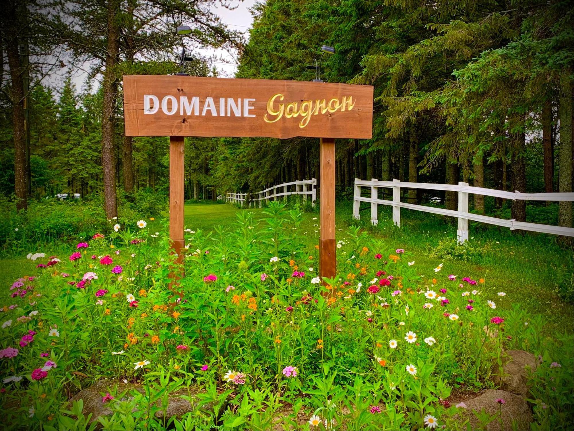 Domaine Gagnon Villa Saint Sebastien Exterior photo