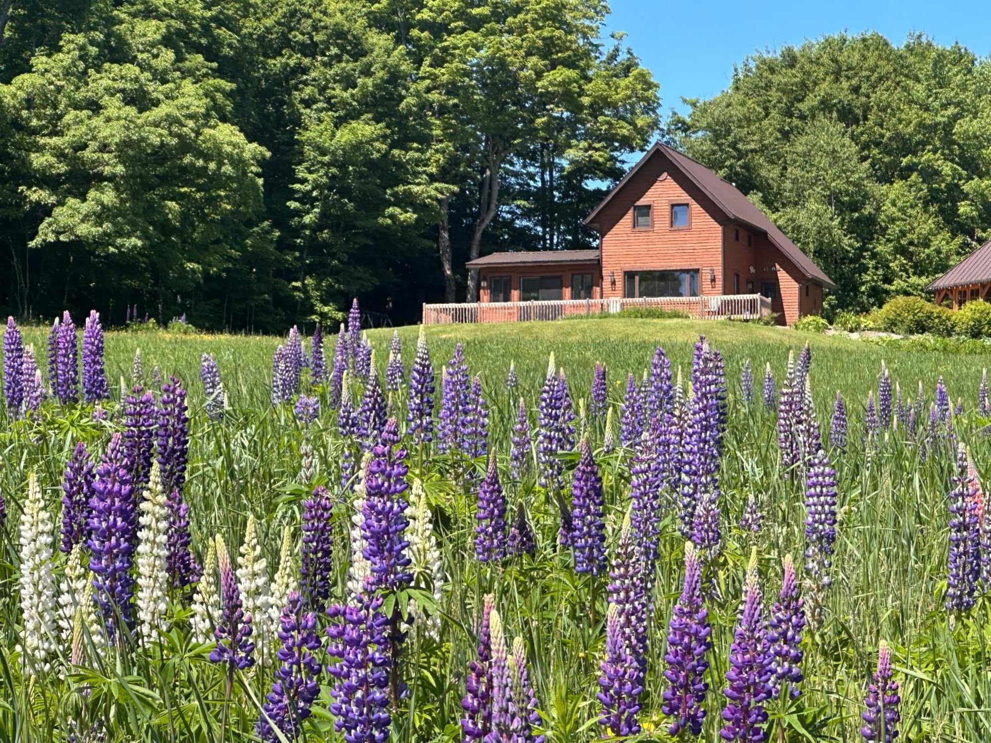 Domaine Gagnon Villa Saint Sebastien Exterior photo